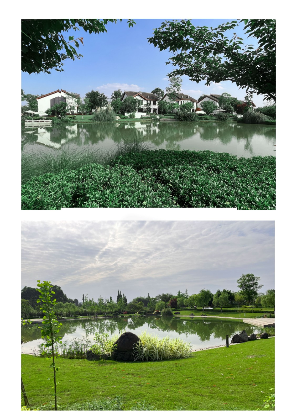 狗万·max(中国游)有限公司官网